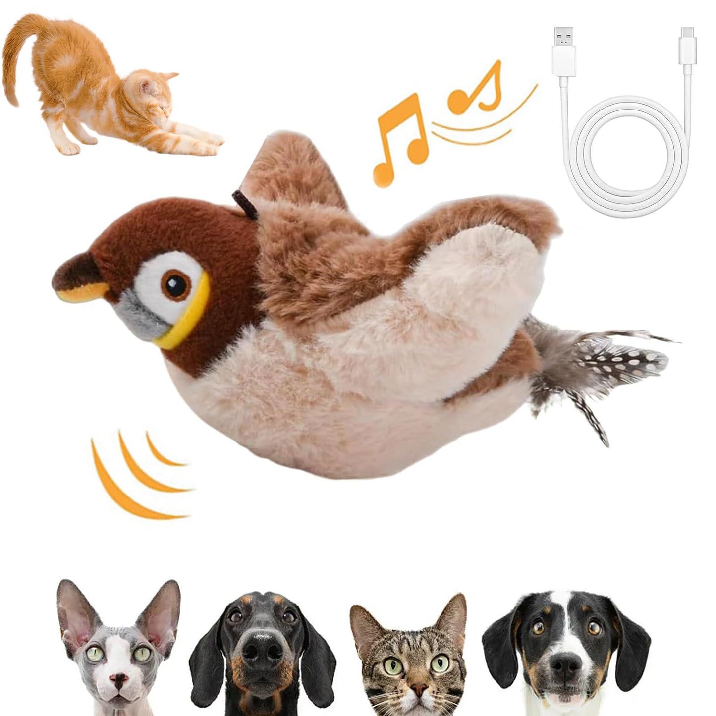 Raffra | Uccellino Interattivo